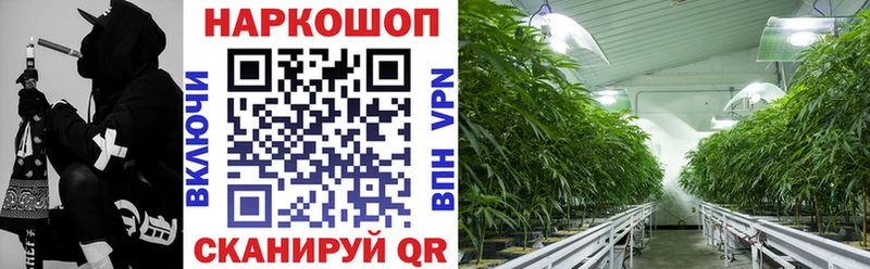 Что такое Великий Устюг ГАШИШ  Alpha PVP  АМФ  Меф 