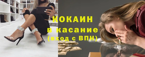 стаф Богородск