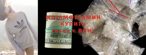 индика Щигры