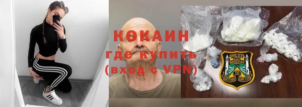 стаф Богородск