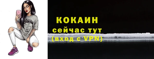 стаф Богородск