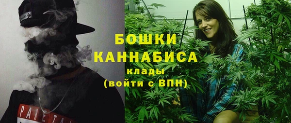 гашик Богородицк