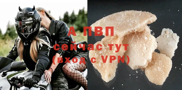 ГАЛЛЮЦИНОГЕННЫЕ ГРИБЫ Белокуриха