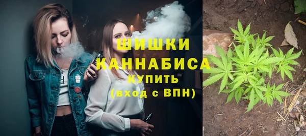 ГАЛЛЮЦИНОГЕННЫЕ ГРИБЫ Белоозёрский