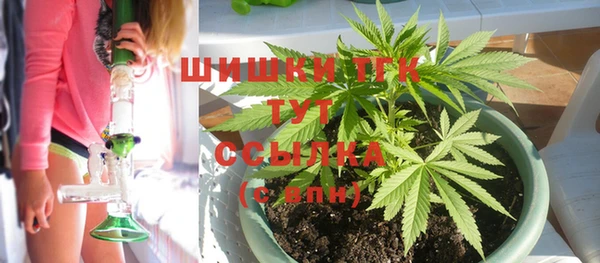 гашик Богородицк