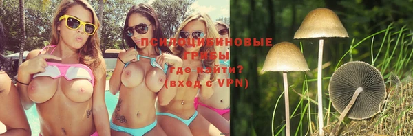 ГАЛЛЮЦИНОГЕННЫЕ ГРИБЫ Белоозёрский