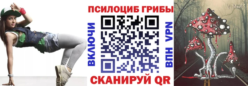 Галлюциногенные грибы Cubensis  Великий Устюг 